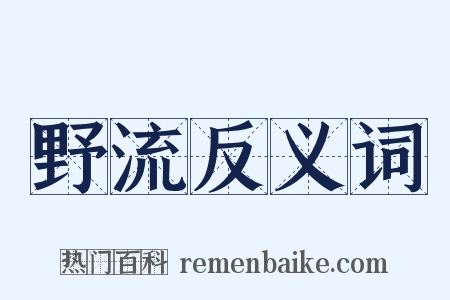 野流反义词是什么意思的图片